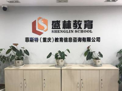 盛林教育暑假班 點燃智慧火花，成就未來之星